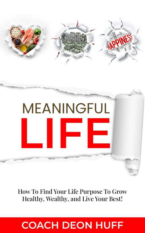 THE MEANINGFUL LIFE - Image 2